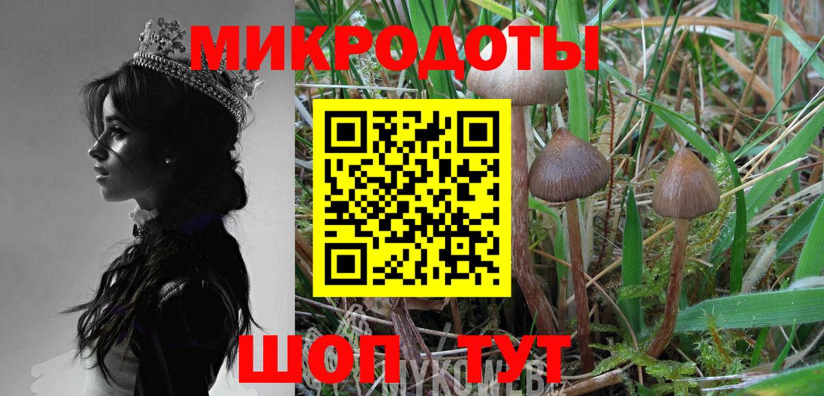 Псилоцибиновые грибы прущие грибы Кизляр