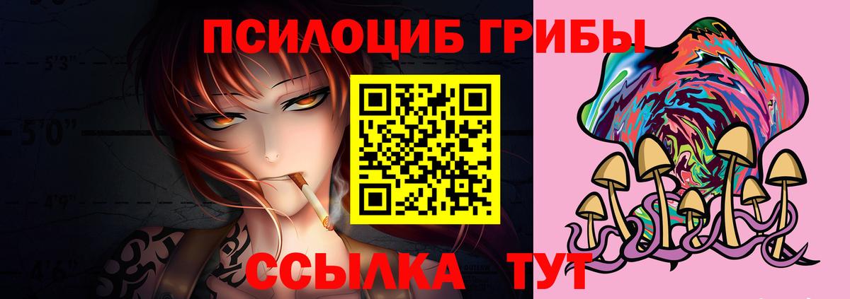 Кизляр  Галлюциногенные грибы мухоморы  Псилоцибиновые грибы прущие грибы  Вход с VPN 